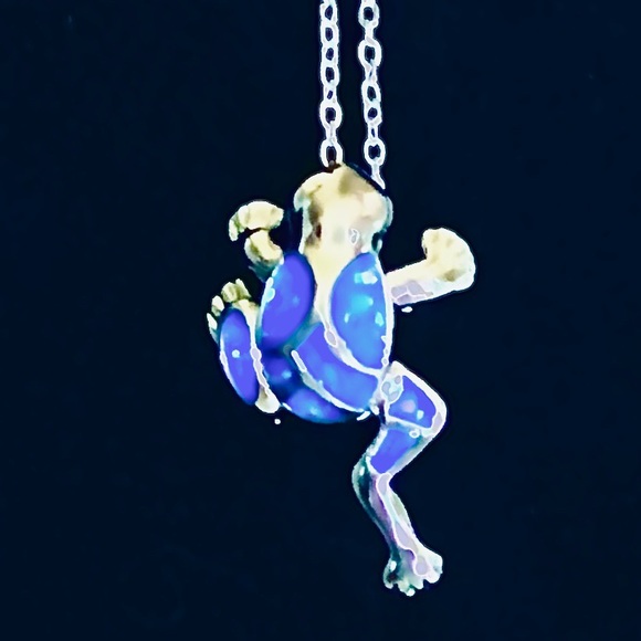 Silver Colored Frog Necklaces - Picture 1 of 8